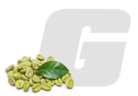 Conheça o Extrato de café verde da Growth Supplements