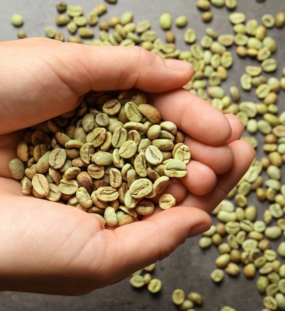 Como tomar extrato de café verde