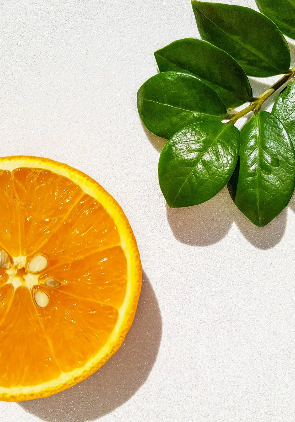 Growth Supplements - IMAGEM ILUSTRATIVA LARANJA CORTADA AO MEIO COM A ASTE AO LADO