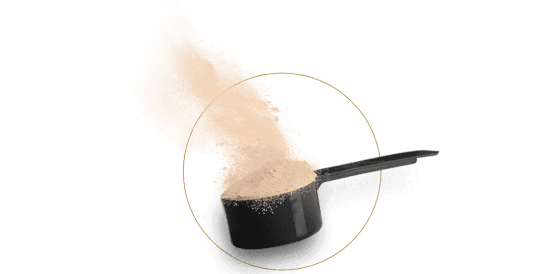 GROWTH SUPPLEMENTS - Scoop com Whey Protein Hidrolisado