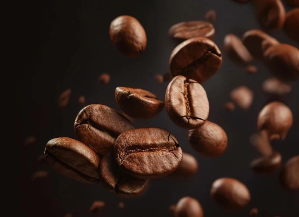 GROWTH SUPPLEMENTS - Imagem ilustrativa de uma diversos grãos de café