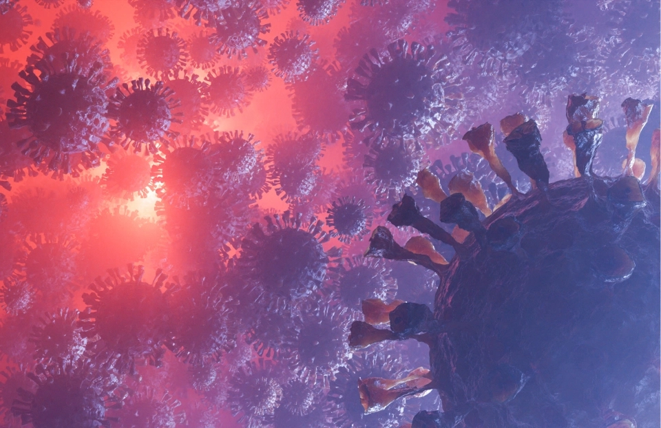 Atleta Team Growth - Moléculas