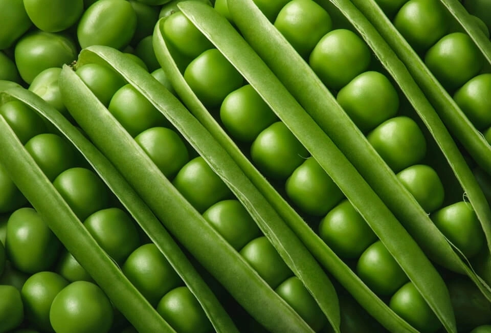 GROWTH SUPPLEMENTS - Imagem ilustrativa de Ervilha em Vagem