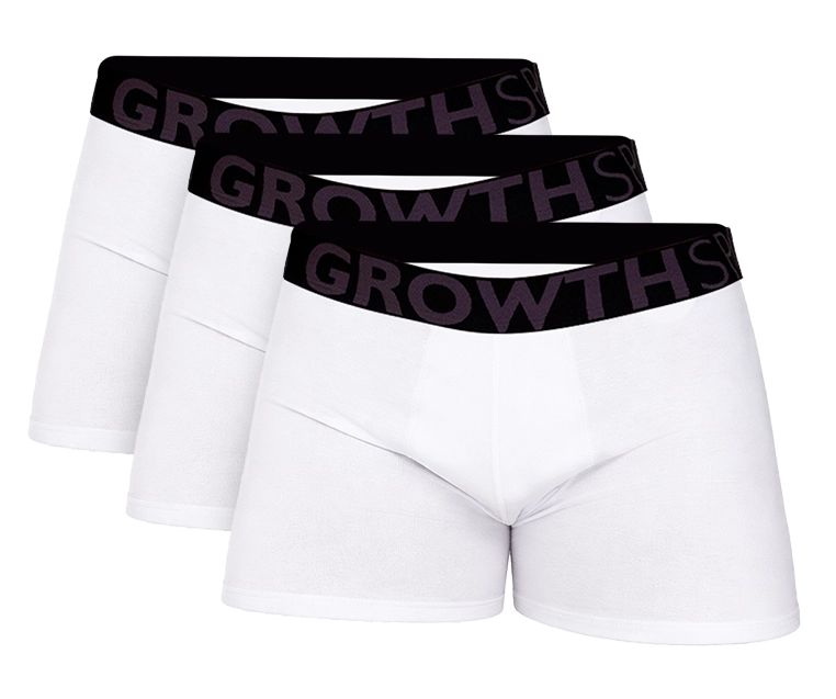 Foto do produto KIT 3 CUECAS BOXER BRANCO GROWTH PREMIUM