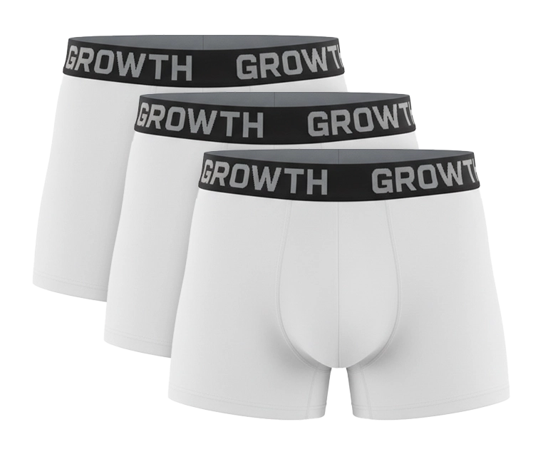 Foto do produto KIT 3 CUECAS BOXER WHITE GROWTH PREMIUM