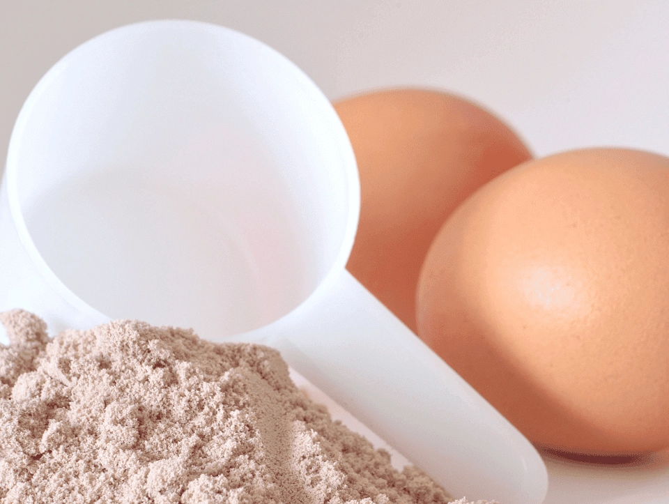 GROWTH SUPPLEMENTS - Scoop de Albumina e Ovos