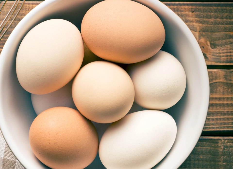 GROWTH SUPPLEMENTS - Ovos