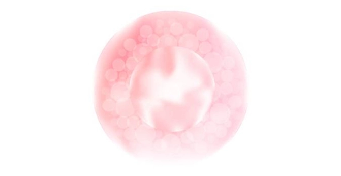 GROWTH SUPPLEMENTS - Imagem ilustrativa de colágeno