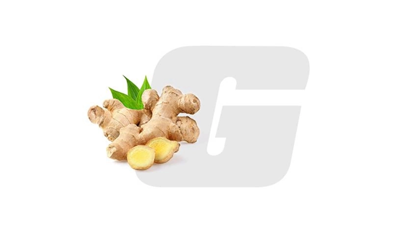 GROWTH SUPPLEMENTS - Logo e gengibre