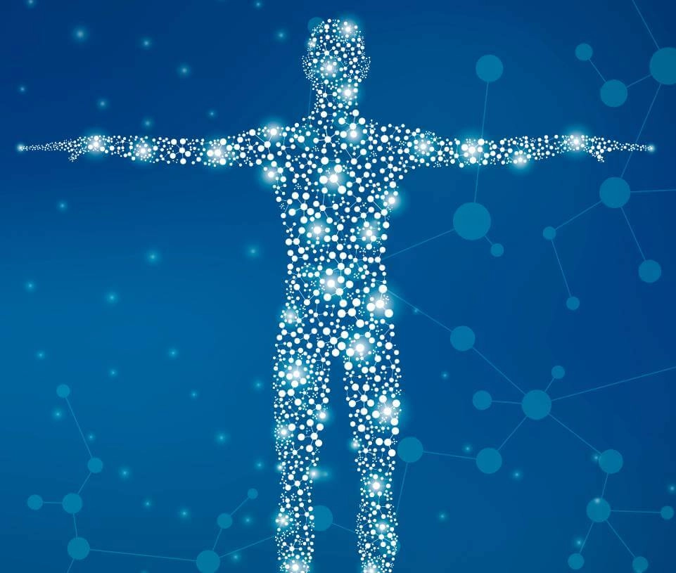 corpo humano